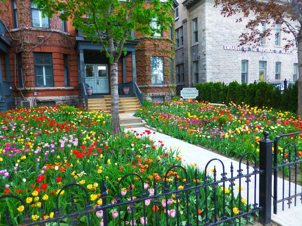 Auberge King Edward Bed&Breakfast Ottawa Zimmer foto