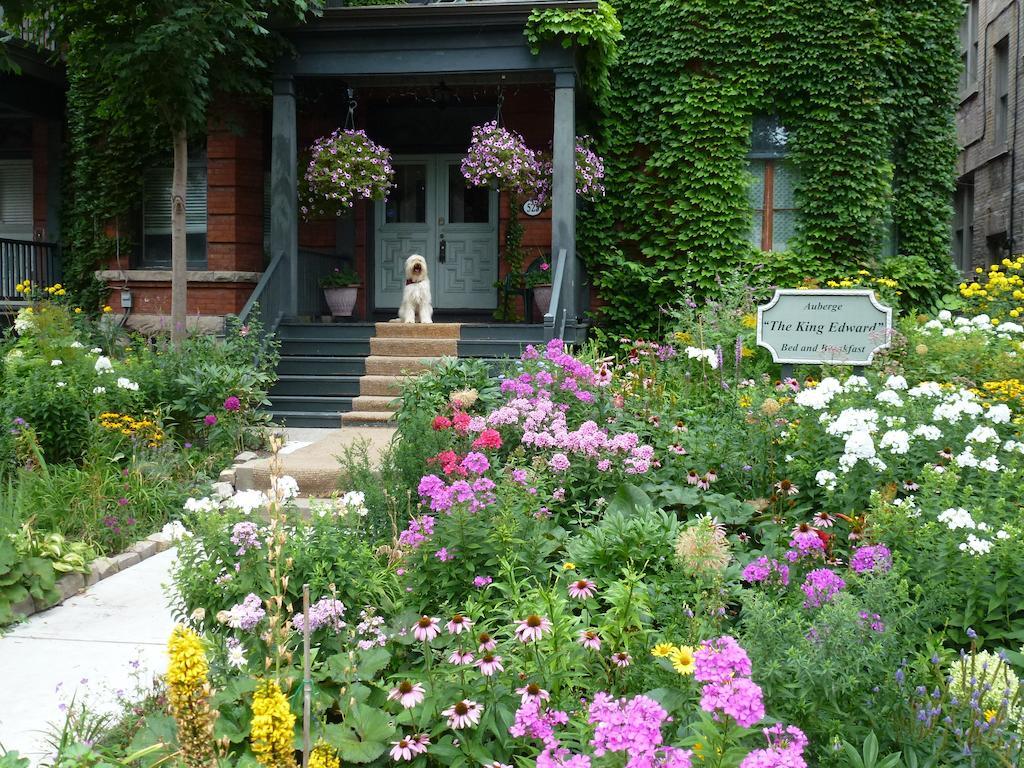 Auberge King Edward Bed&Breakfast Ottawa Exterior foto