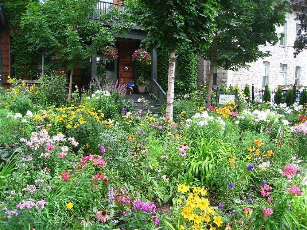 Auberge King Edward Bed&Breakfast Ottawa Exterior foto
